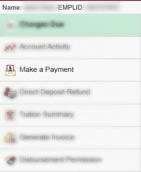 Make a Payment